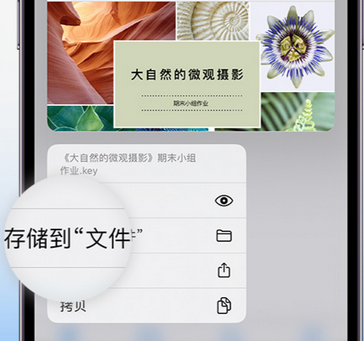 沁县apple维修中心分享iPhone文件应用中存储和找到下载文件