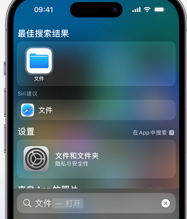 沁县apple维修中心分享iPhone文件应用中存储和找到下载文件