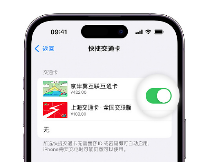 沁县apple维修点分享iPhone上更换Apple Pay快捷交通卡手绘卡面 