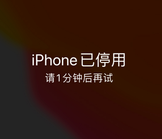 沁县苹果手机维修分享:iPhone 显示“不可用”或“已停用”怎么办？还能保留数据吗？ 