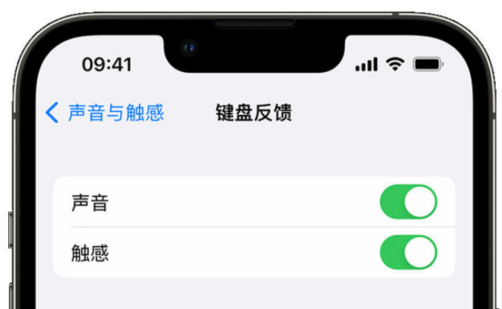 沁县苹果手机维修分享iPhone 14触感键盘使用方法 