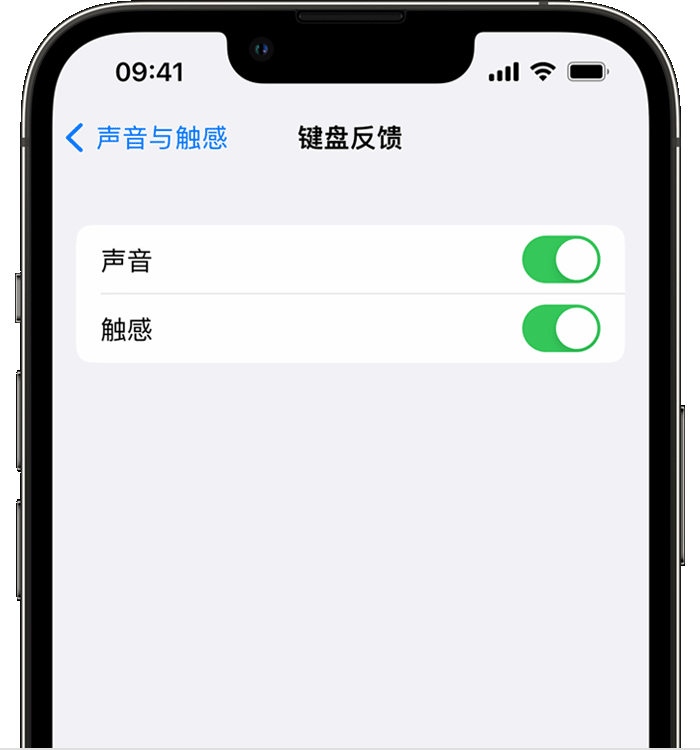 沁县苹果14维修店分享如何在 iPhone 14 机型中使用触感键盘 